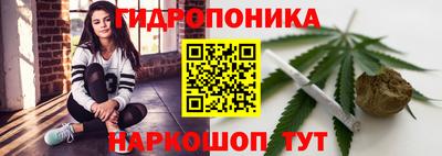 PSILOCYBIN Новозыбков