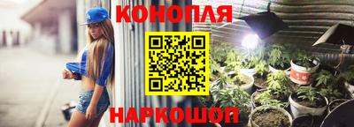гидра Новокубанск