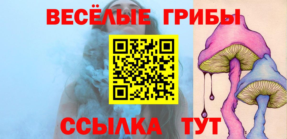 Галлюциногенные грибы Psilocybe  Вход с VPN  Галлюциногенные грибы мухоморы  Аргун 